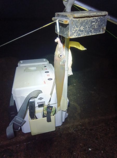 苅屋海岸のキス釣り