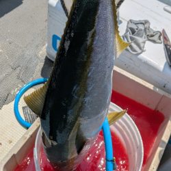 久々オフショア