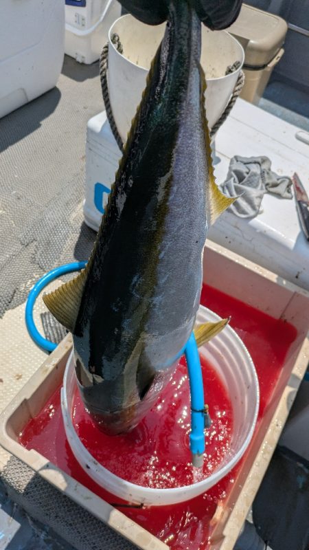 久々オフショア