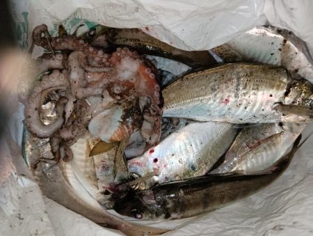 アジング18オクト2