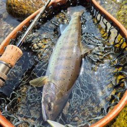 用事済ませて昼前に到着