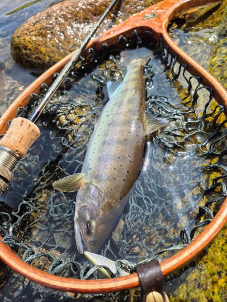 用事済ませて昼前に到着
