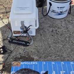 今日は、紀州釣り🥵