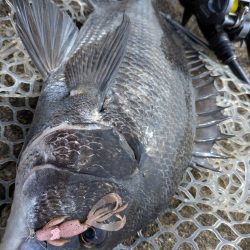 まるで真冬！激ムズ広島チニング