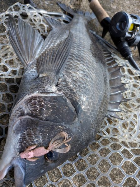 まるで真冬！激ムズ広島チニング