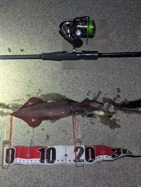 数出るようになってきた