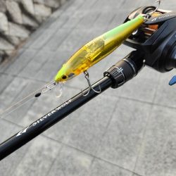 フリリグ&ミノーチニング