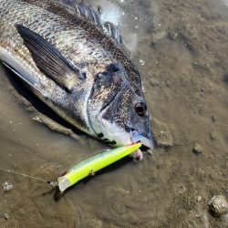 広島河川クロスウェイクチニング