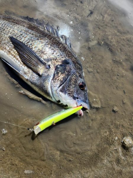 広島河川クロスウェイクチニング