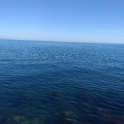 10目まであと1匹足らず…