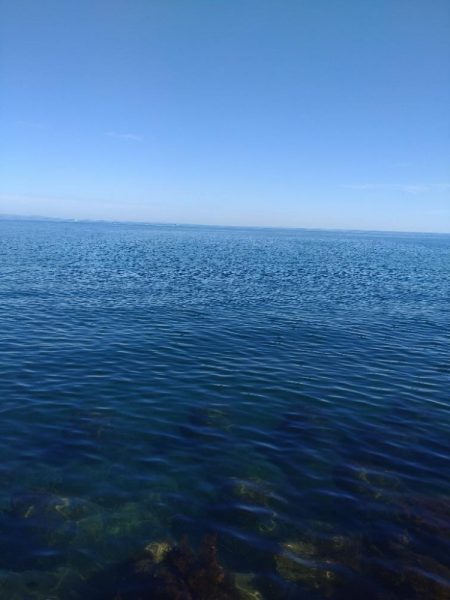 10目まであと1匹足らず…