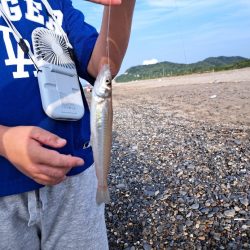 ファミリーフィッシングでキス釣り