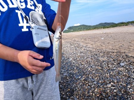 ファミリーフィッシングでキス釣り