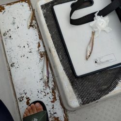 真夏のファミリー船キス