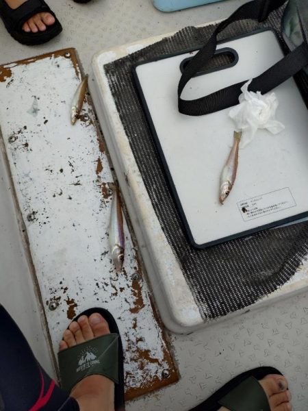 真夏のファミリー船キス