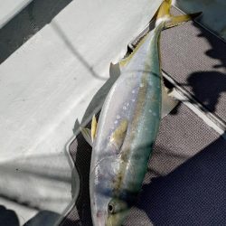 真夏のタイラバ