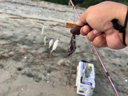 再度、唐津の浜に来てみました