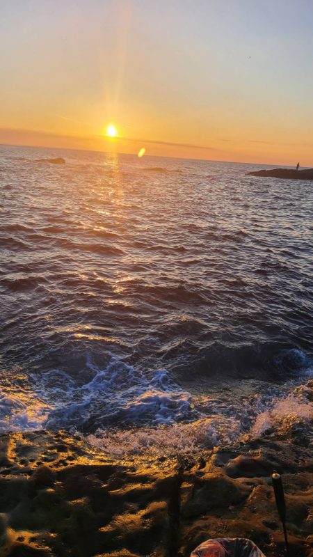 和歌山市江（吉丸渡船）でグレ釣り