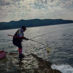 和歌山市江(吉丸渡船)で磯釣り