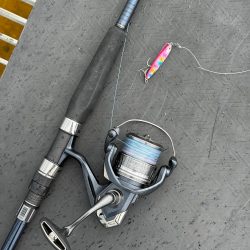 サゴシとツバス御一行