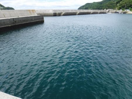 先週に続いてカツオが釣れました