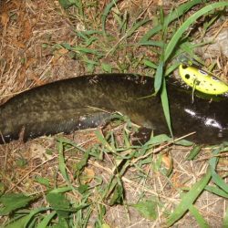 久々に奈良まで