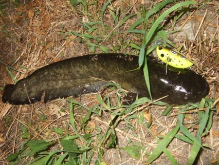 久々に奈良まで