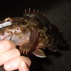 ぼちぼち厳しい