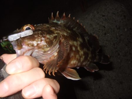 ぼちぼち厳しい