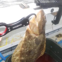 落とし込みリベンジマッチ　五目達成　きしゅう丸