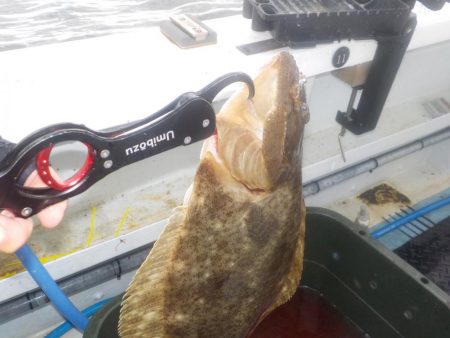 落とし込みリベンジマッチ　五目達成　きしゅう丸