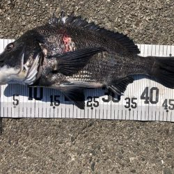 イチノ兄弟、釣果！