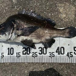 イチノ兄弟、釣果！