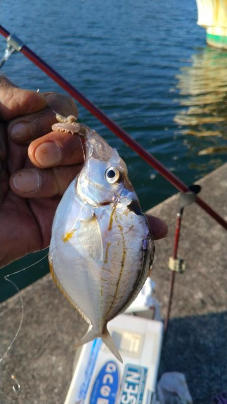 シーズン初の津居山釣行