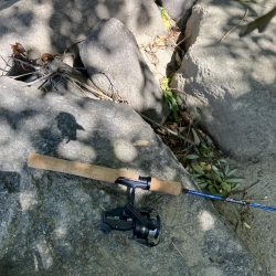 昭和タックルで川バス