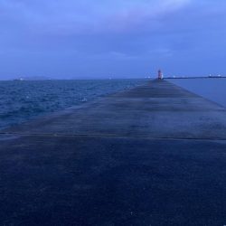 またもや最後に！