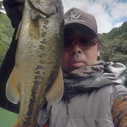 数釣りの日でした