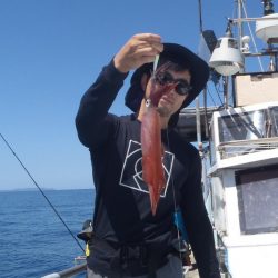 デイ・イカメタル(昼イカ釣り)