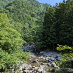 天川上流部で渓流ルアー釣り