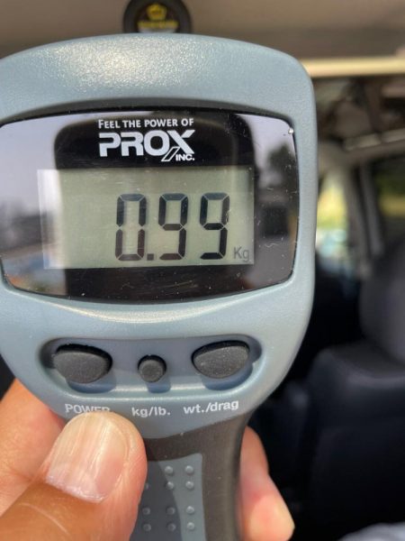 久しぶりの投稿！