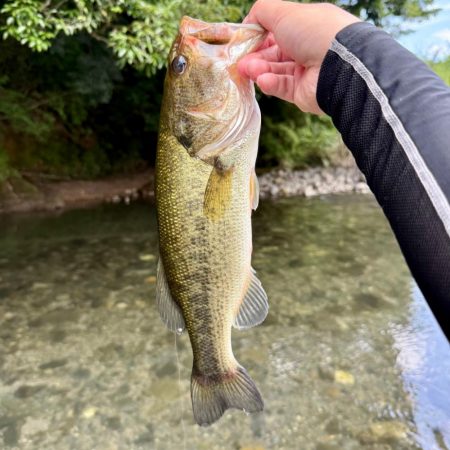 夏といえば…⁇☀️
