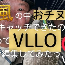 爆風の中の貴重なおチヌさん！