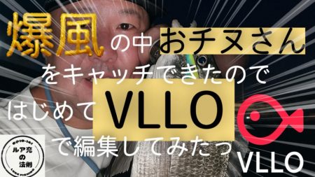 爆風の中の貴重なおチヌさん！