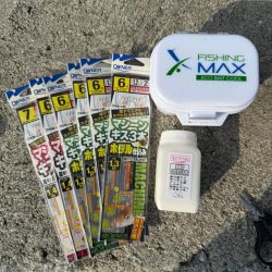 ちょい投げ シロギス釣り