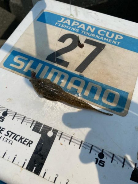 シロギスタ:ようやく通常運行？