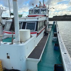 初イカメタル！