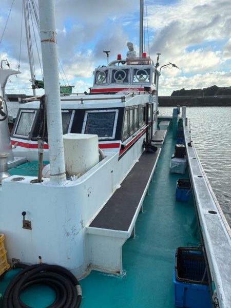 初イカメタル！