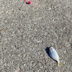 今日も行ってきました！