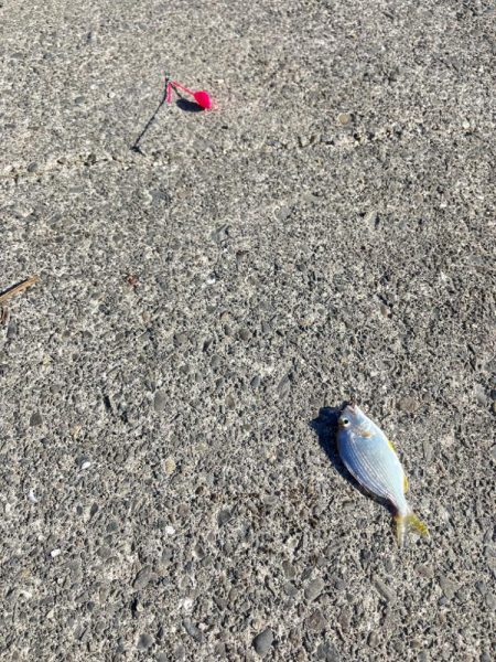 今日も行ってきました！