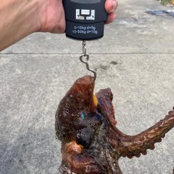 タコ釣り自己ベスト